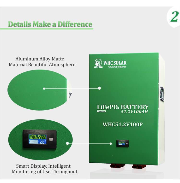 WHC51.2V 100P LiFePO4 Battery 5 1