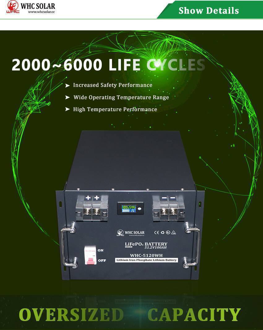 WHC51.2V100M LiFePO4 Battery 5