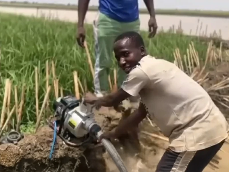 solar irrigation pump for farm