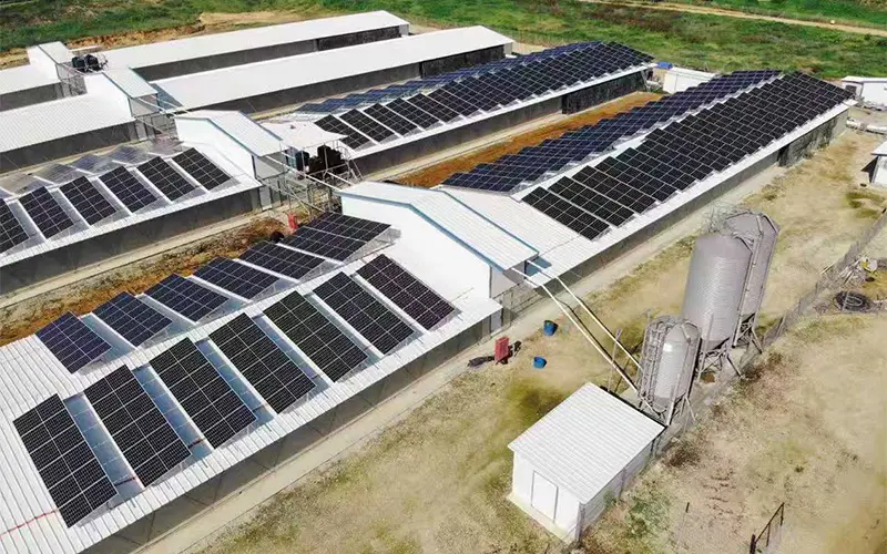 Greenhouse Farm 2